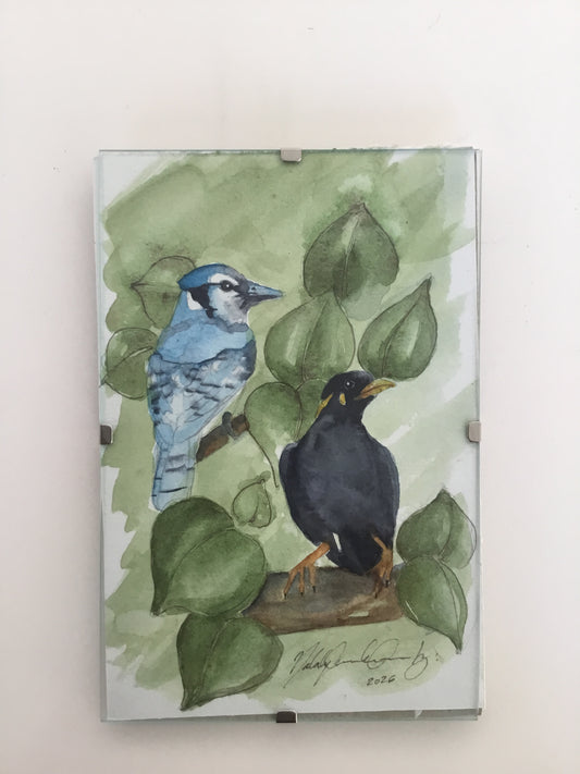 Blue Jay and Hill Myna Watercolour Painting