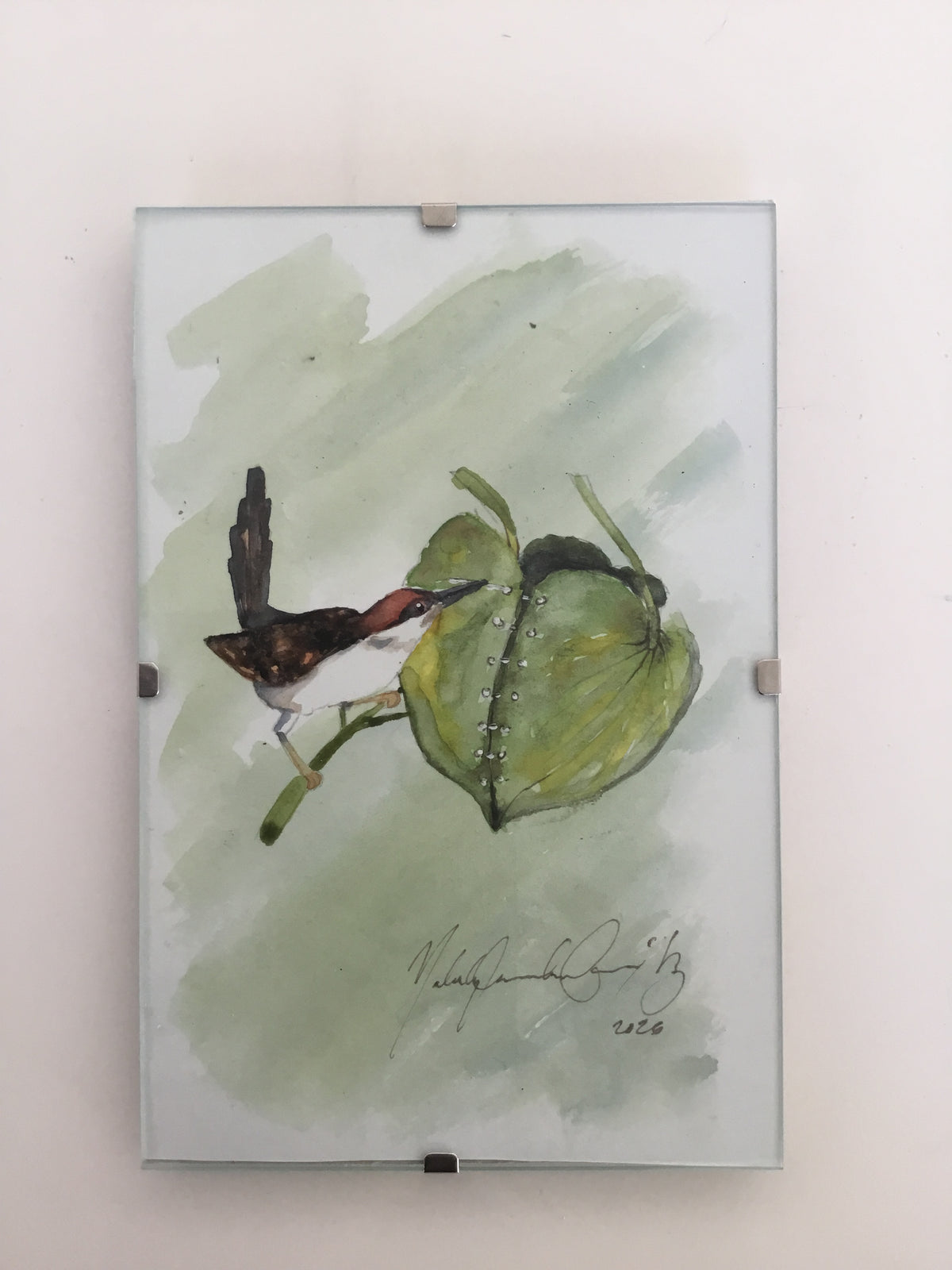 Tailorbird Watercolour Painting
