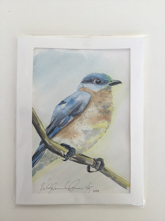 Eastern Bluebird Watercolour Painting