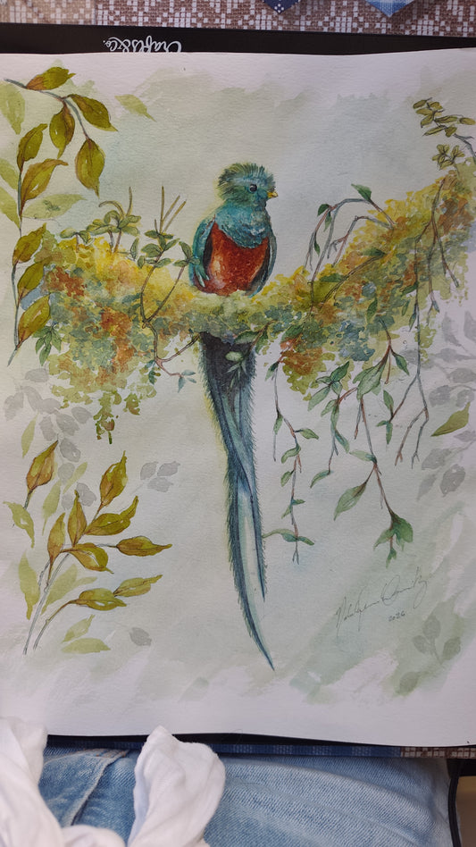 Original Watercolor Painting of a Resplendent Quetzal bird