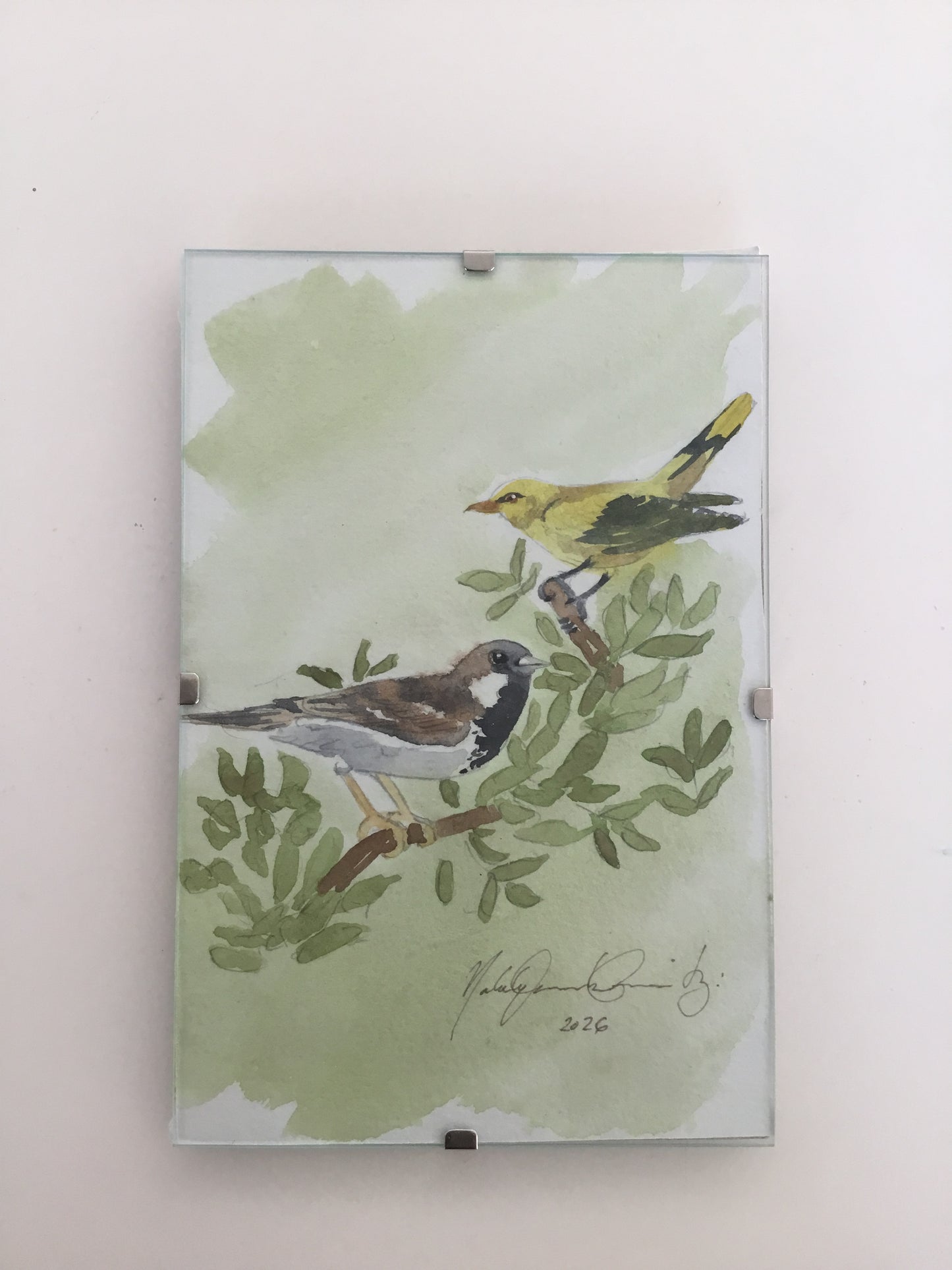 Golden Oriole perched above and a Brown-and-White Sparrow Watercolour Painting