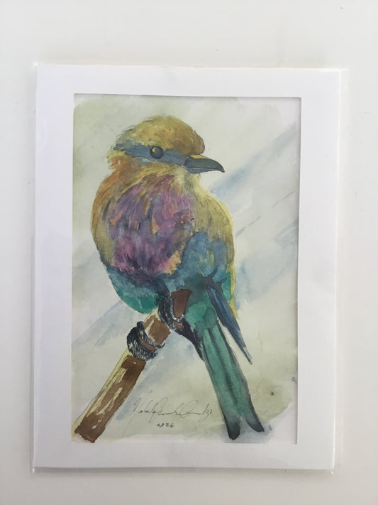 Lilac-breasted To Watercolor Painting