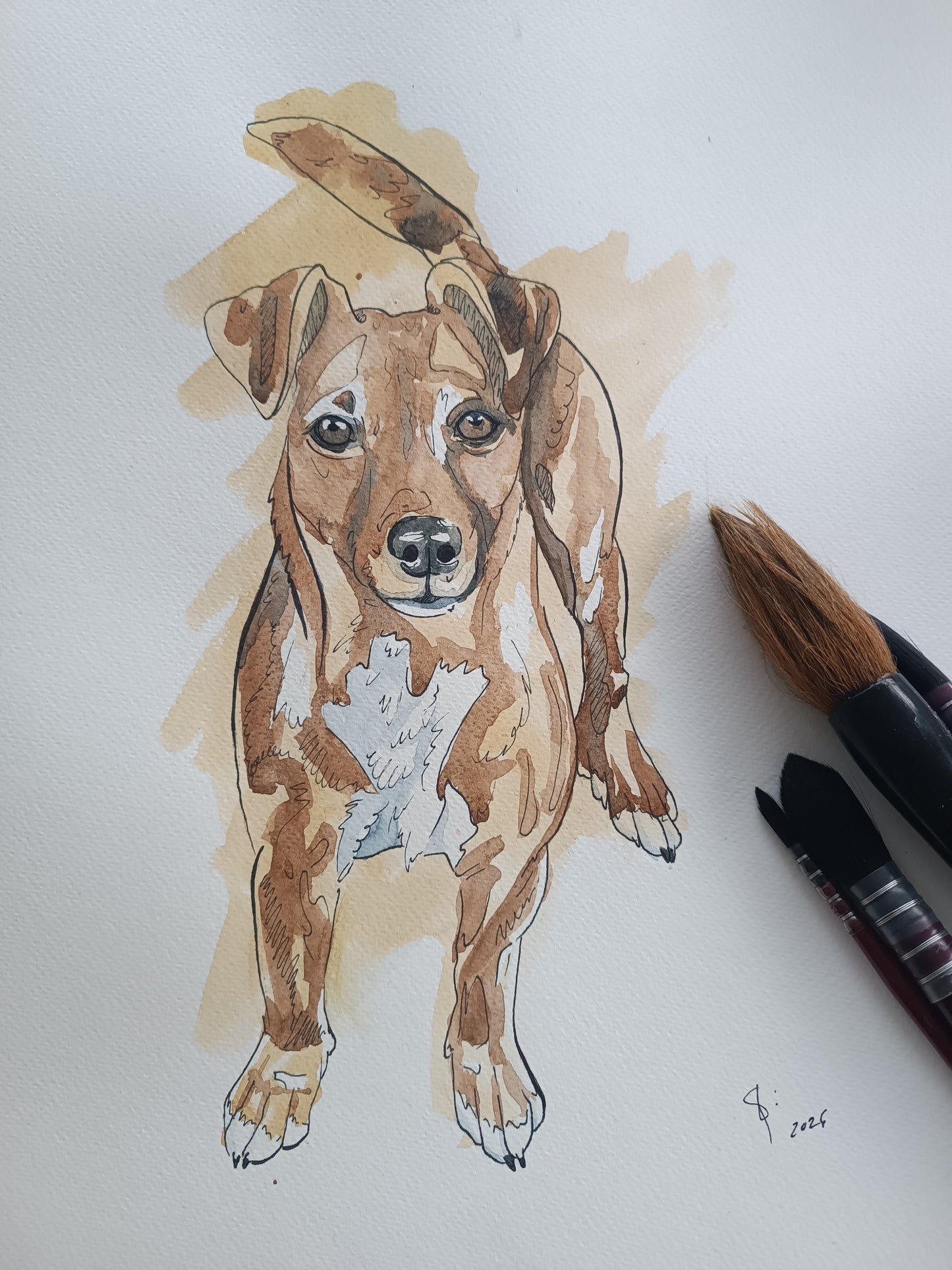 Prints of Beloved Pets Portraits - Ben