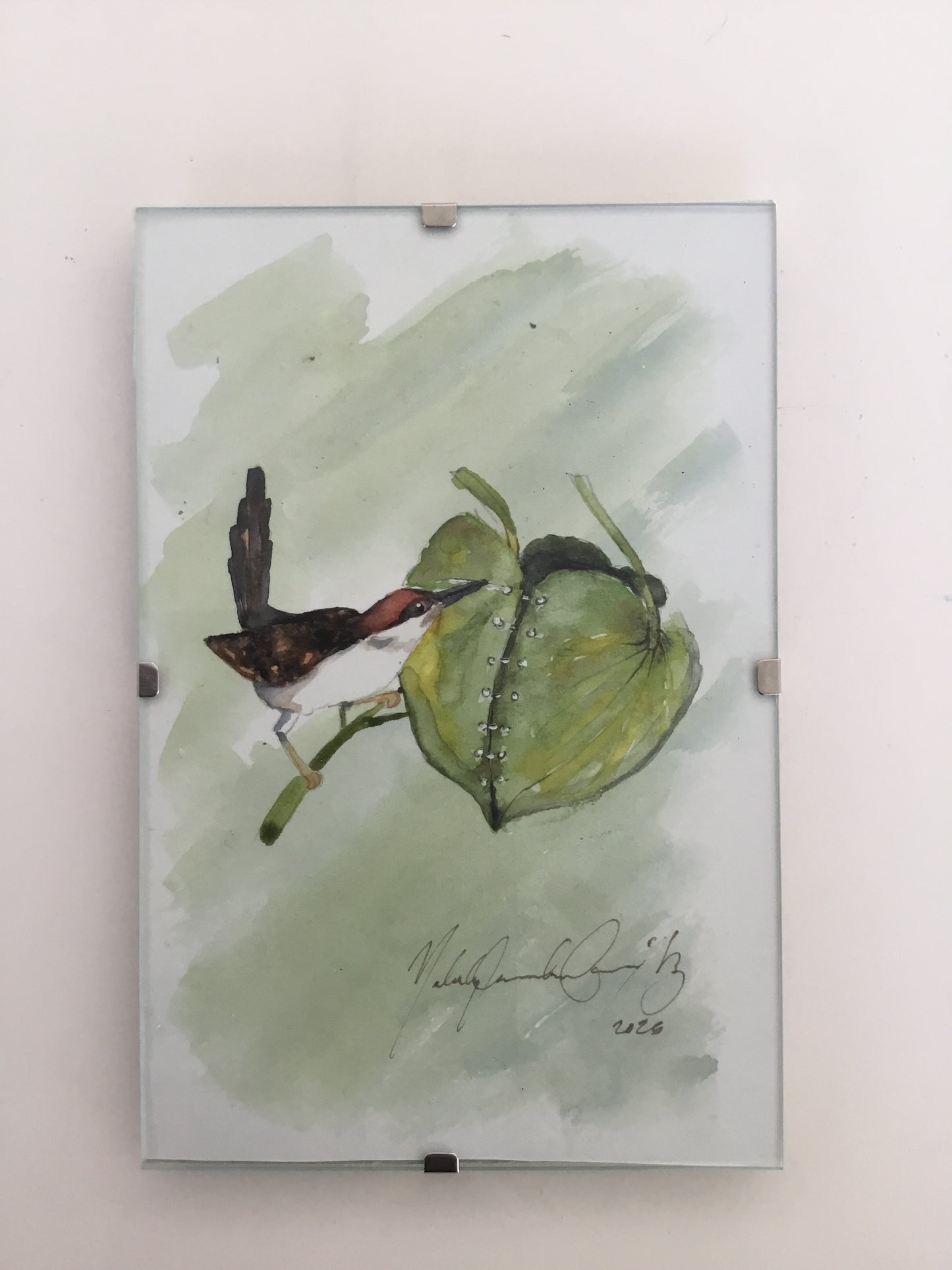 Tailorbird Watercolour Painting