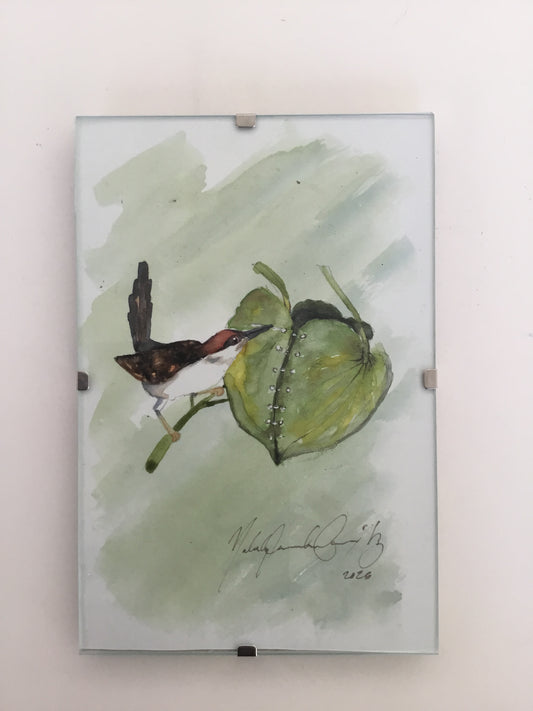 Tailorbird Watercolour Painting