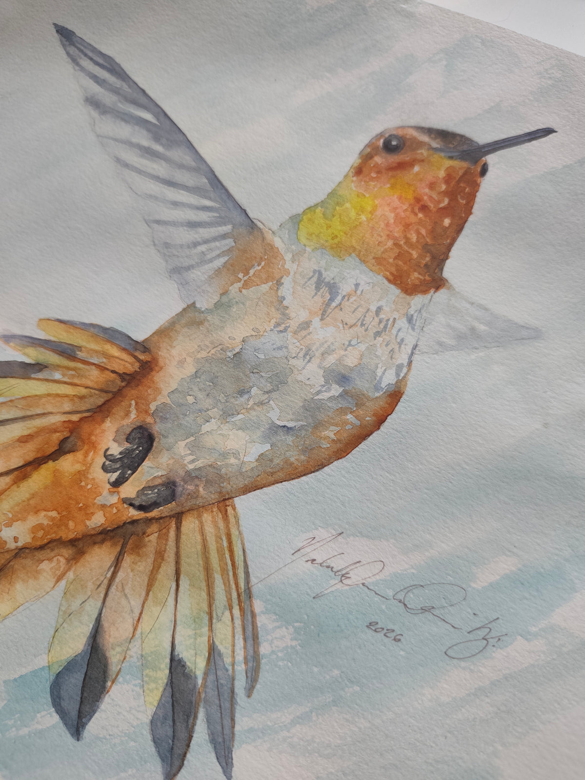 Original Watercolor Painting Painting of a Hummingbird