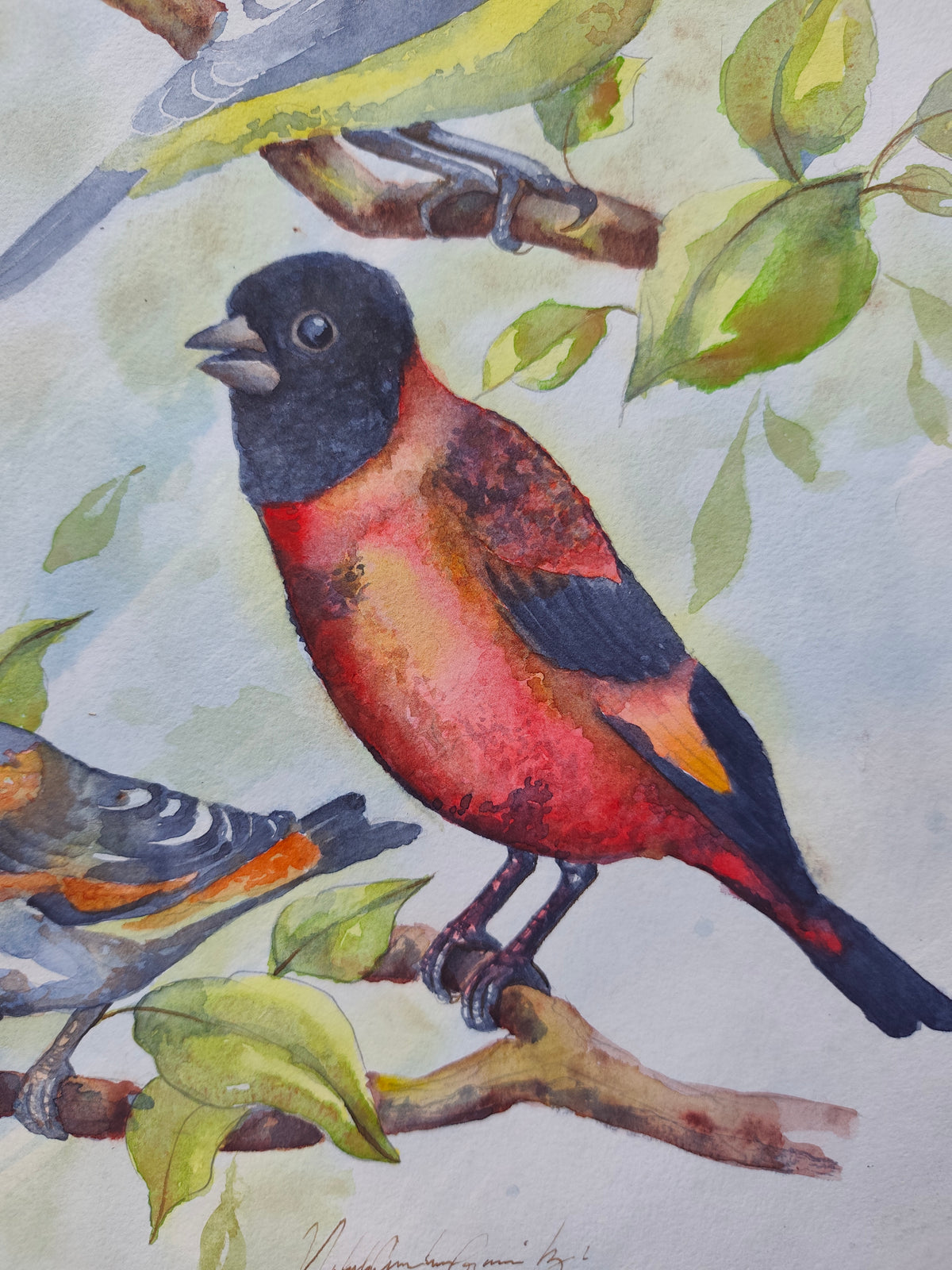 A Few Little Birds by My Door Step Original Watercolor