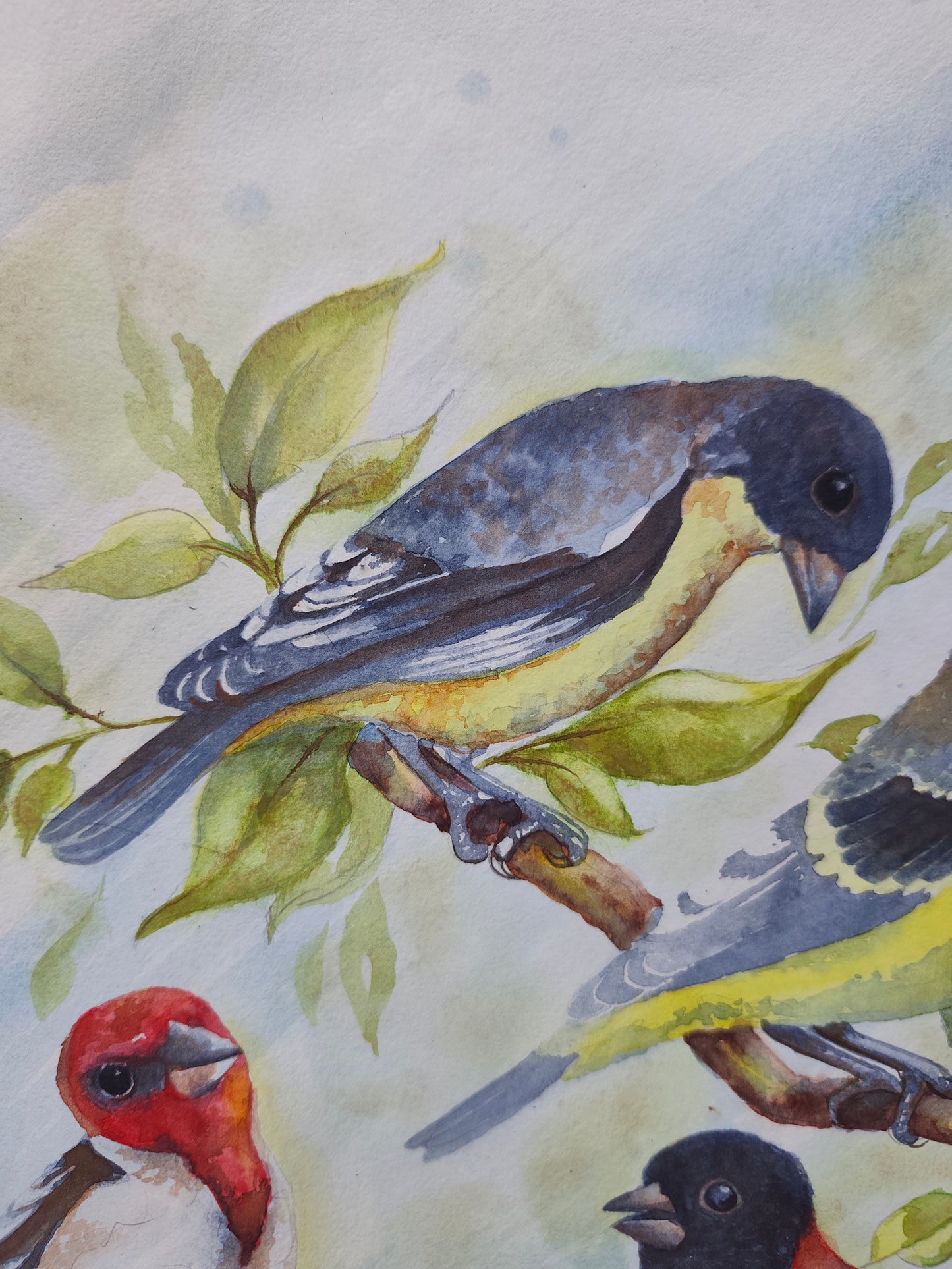A Few Little Birds by My Door Step Original Watercolor