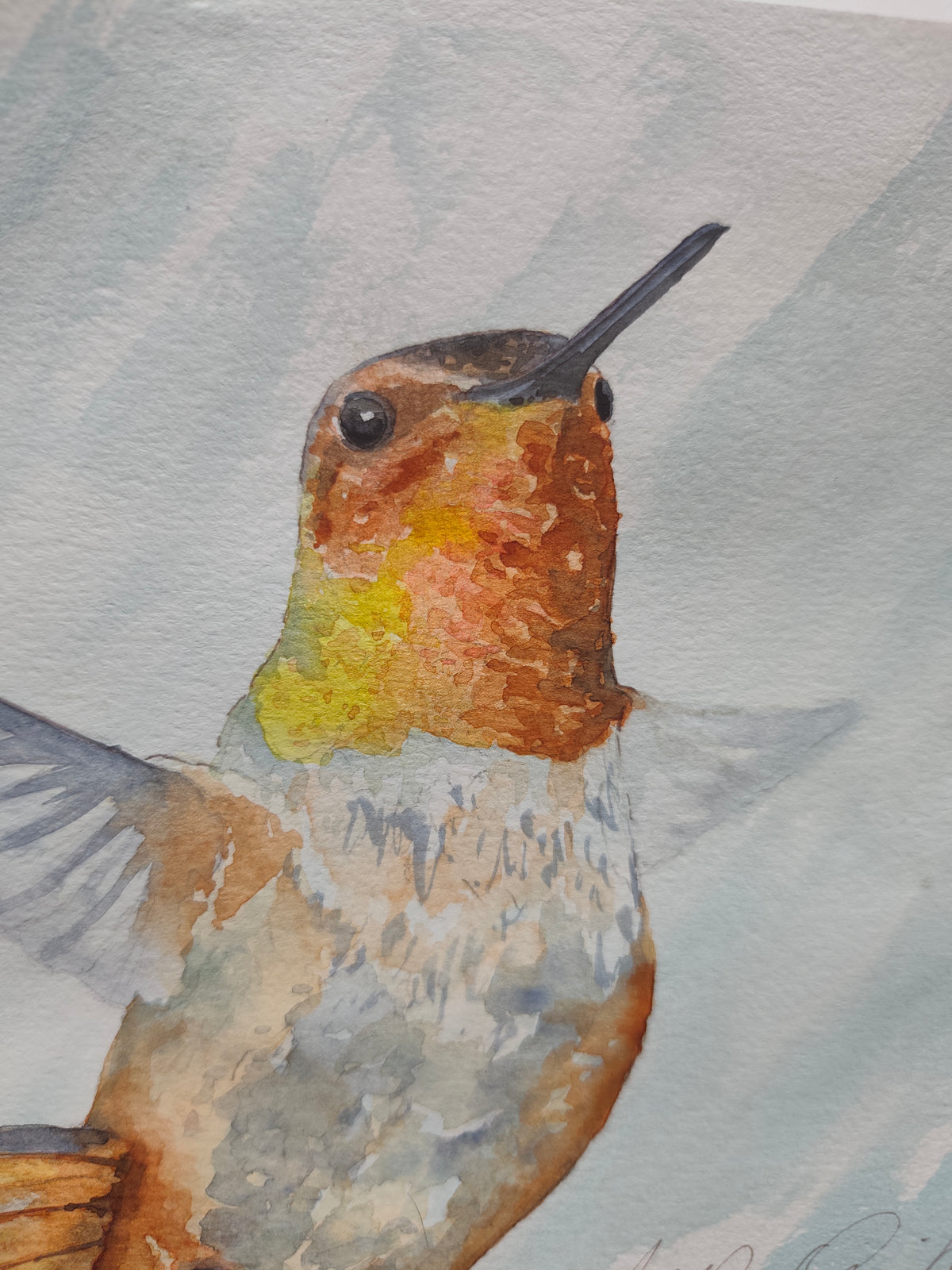 Original Watercolor Painting Painting of a Hummingbird