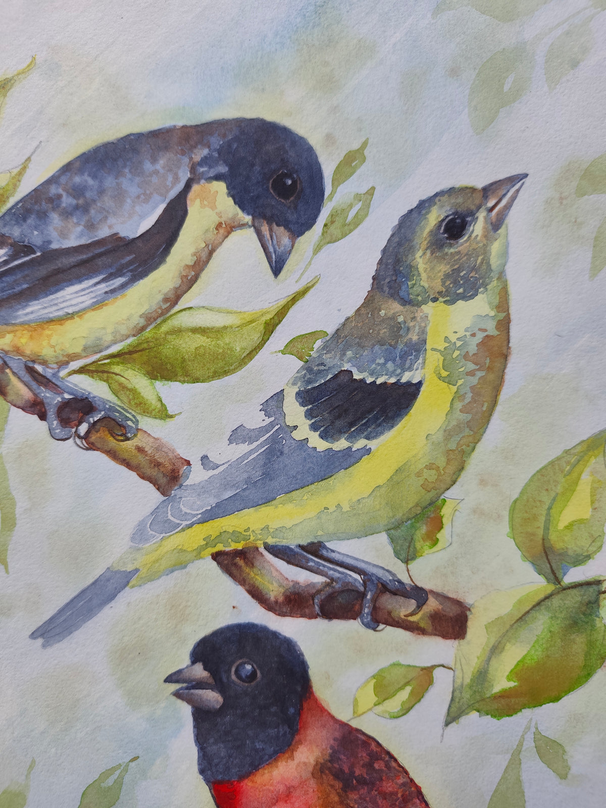 A Few Little Birds by My Door Step Original Watercolor