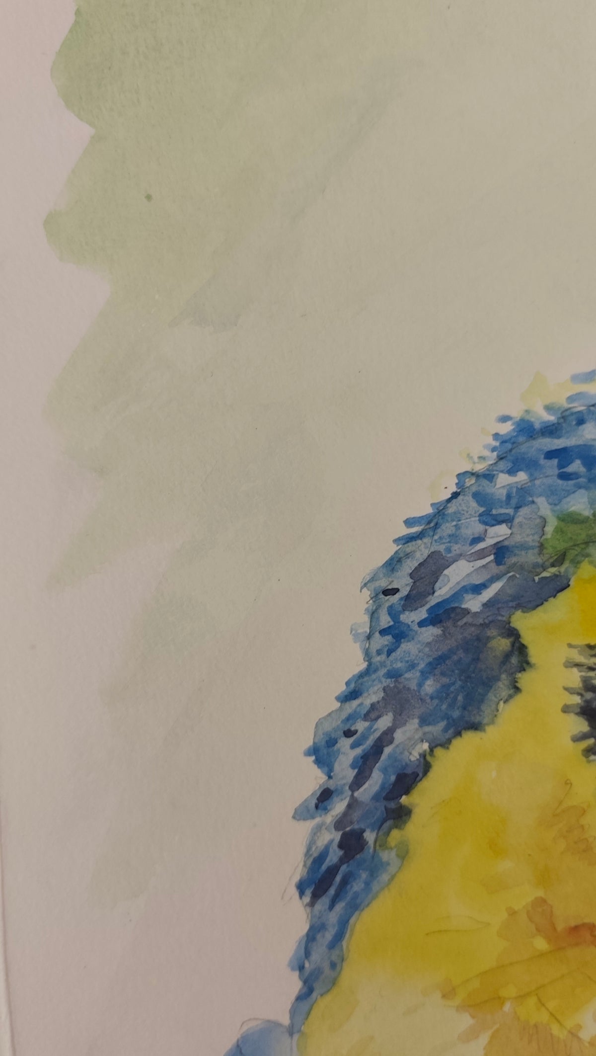 Original Watercolor Painting of a Blue- Yellow Macaw