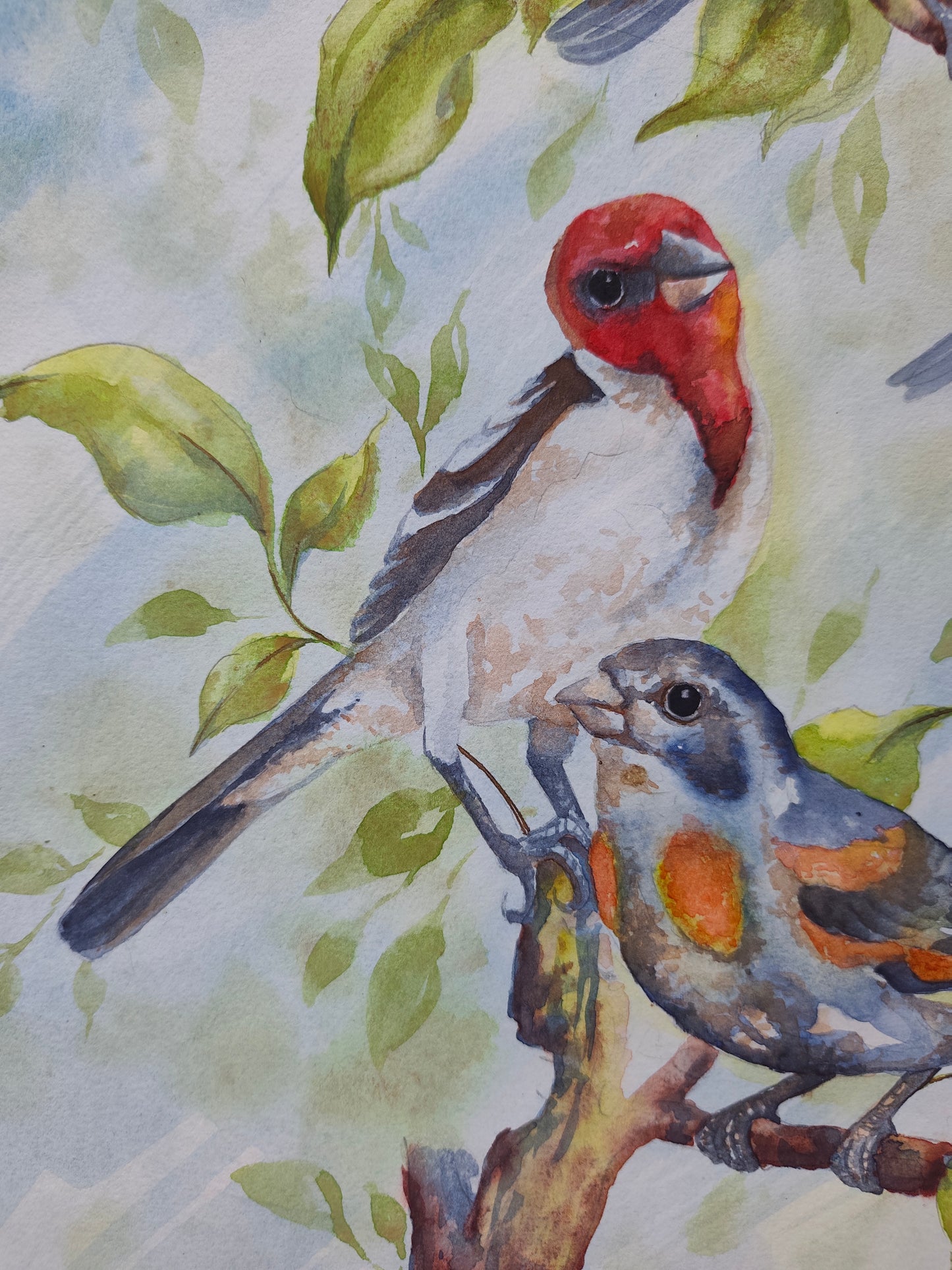 A Few Little Birds by My Door Step Original Watercolor