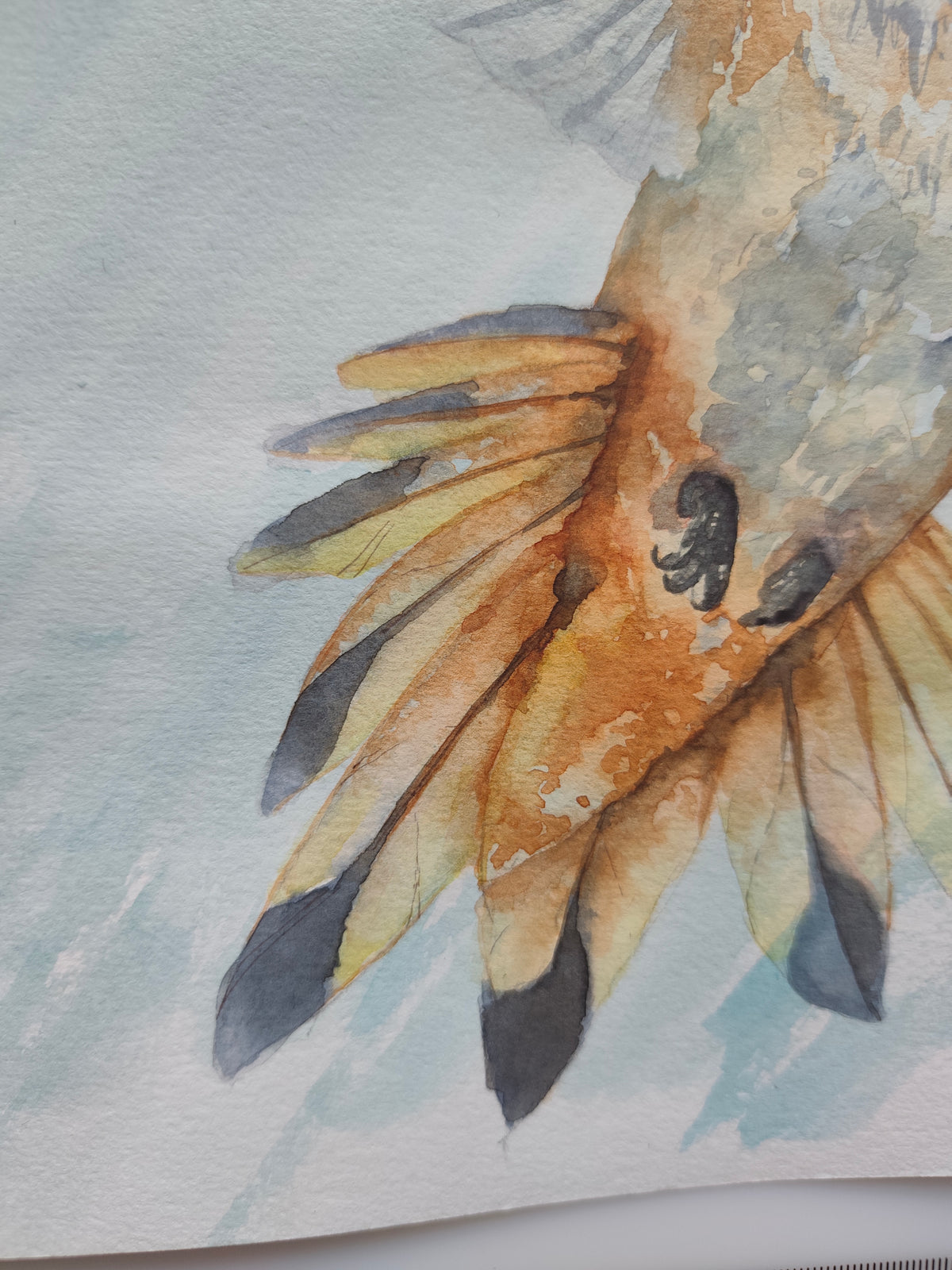 Original Watercolor Painting Painting of a Hummingbird