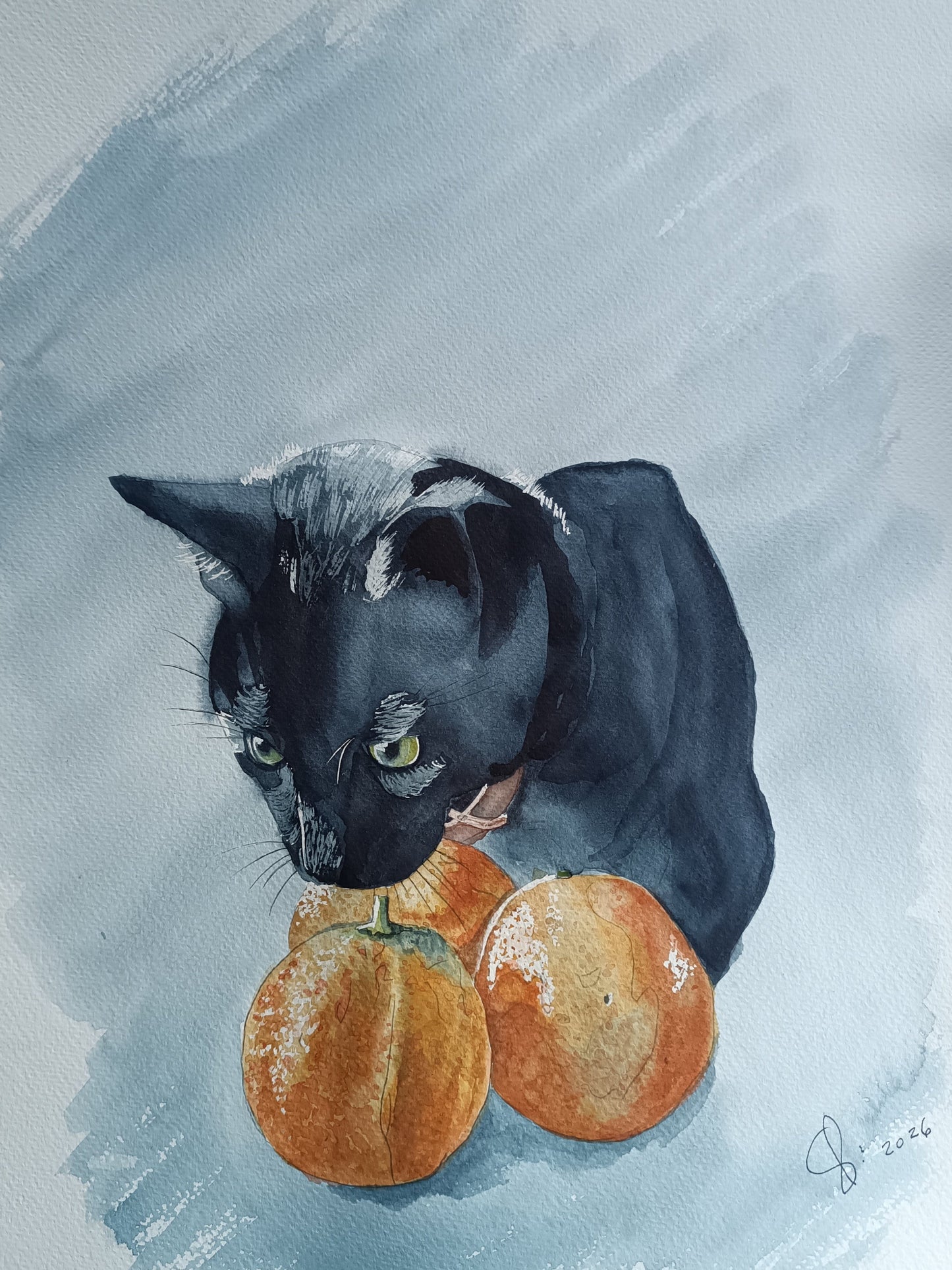 Beloved Pet Portraits