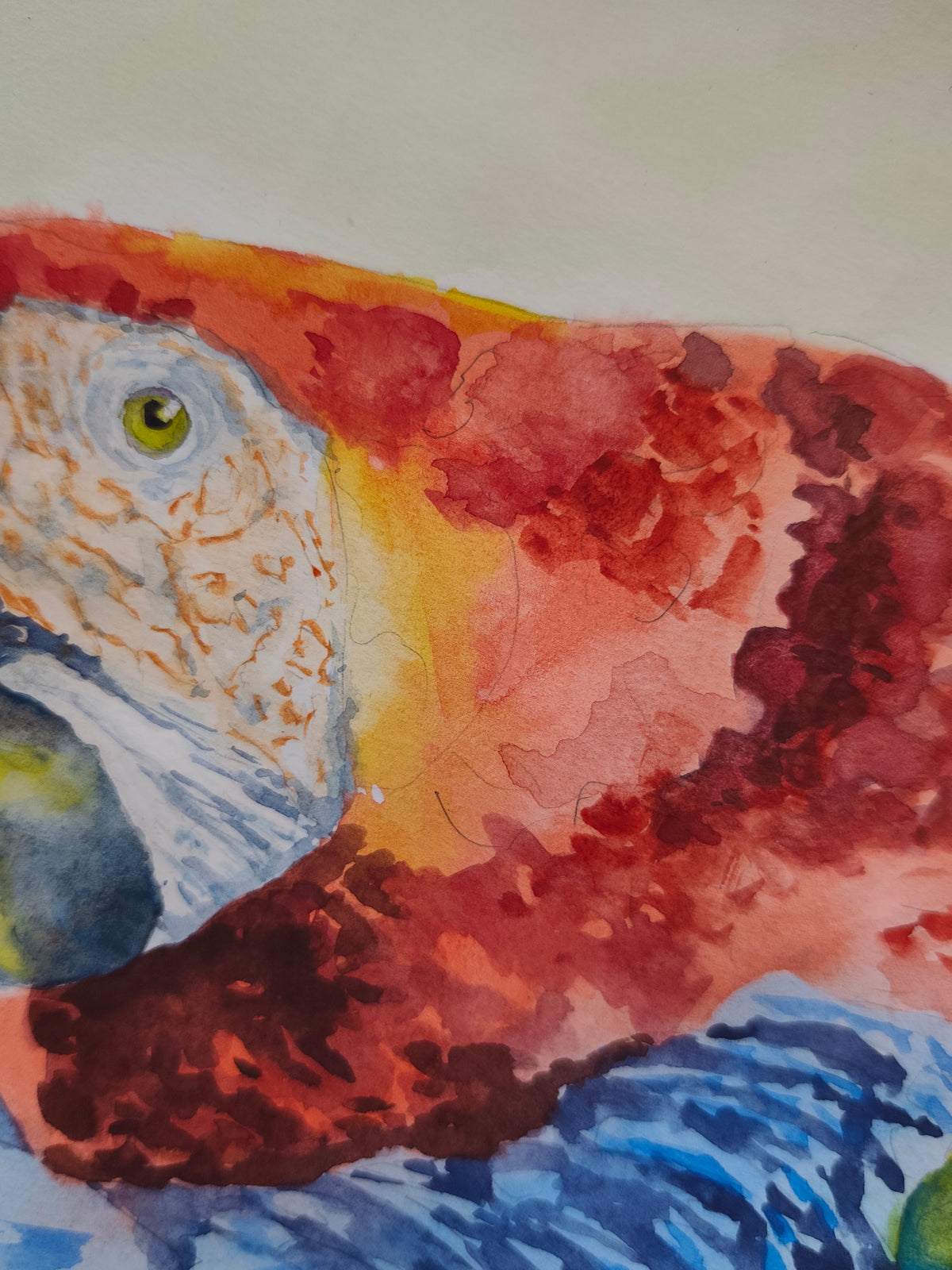 Original Watercolor of a Parrot Cleaning its Feathers