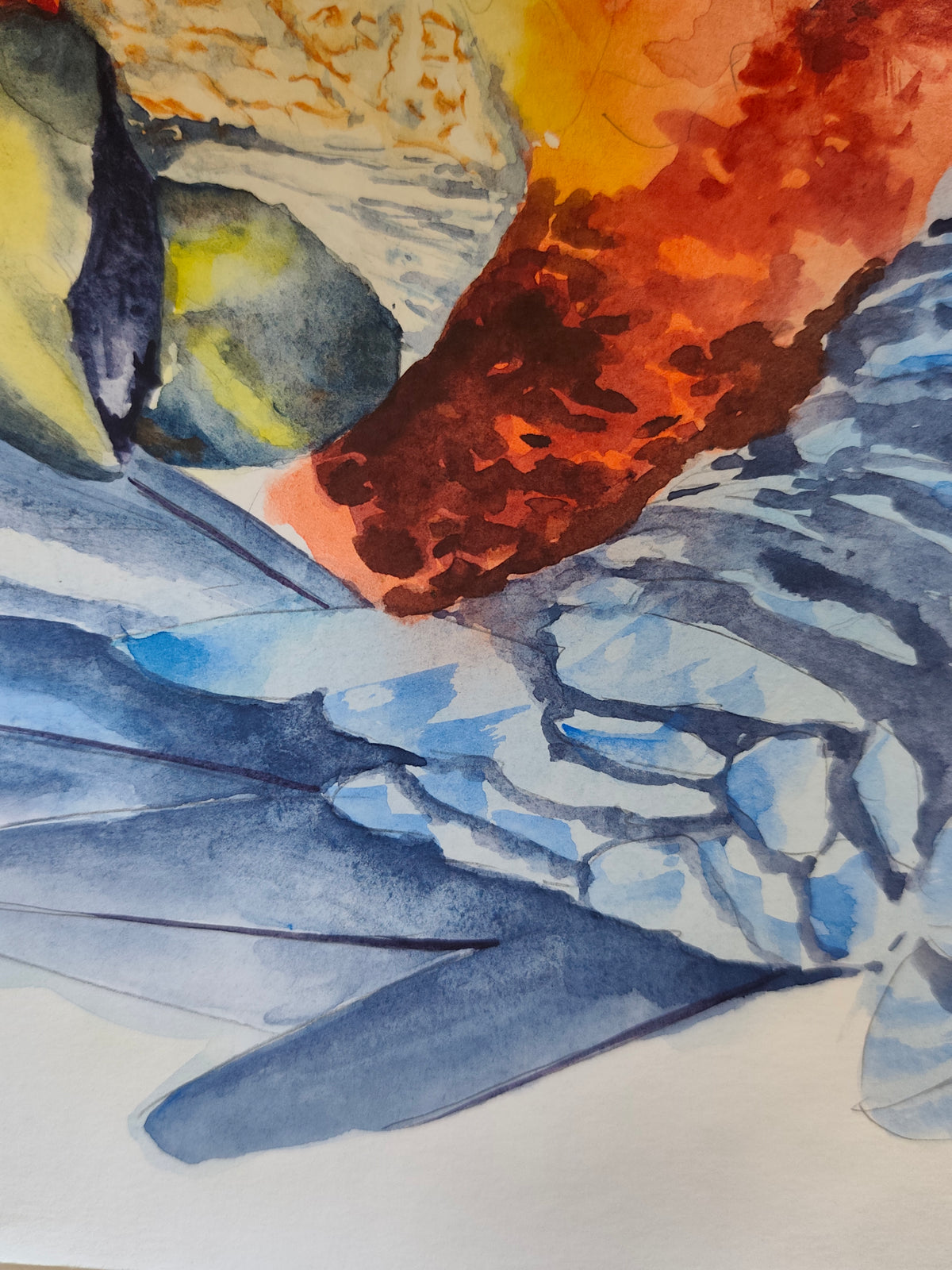 Original Watercolor of a Parrot Cleaning its Feathers