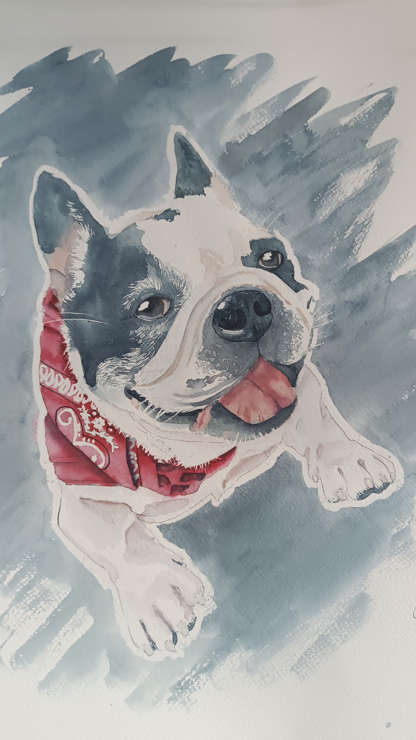 Beloved Pet Portraits